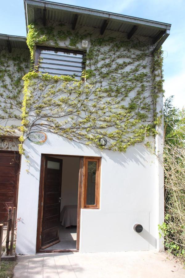 Casita Moderna Frente Al Bosque Διαμέρισμα Μαρ ντελ Πλάτα Εξωτερικό φωτογραφία