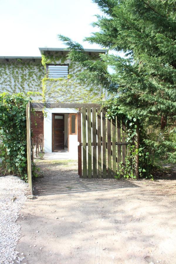 Casita Moderna Frente Al Bosque Διαμέρισμα Μαρ ντελ Πλάτα Εξωτερικό φωτογραφία